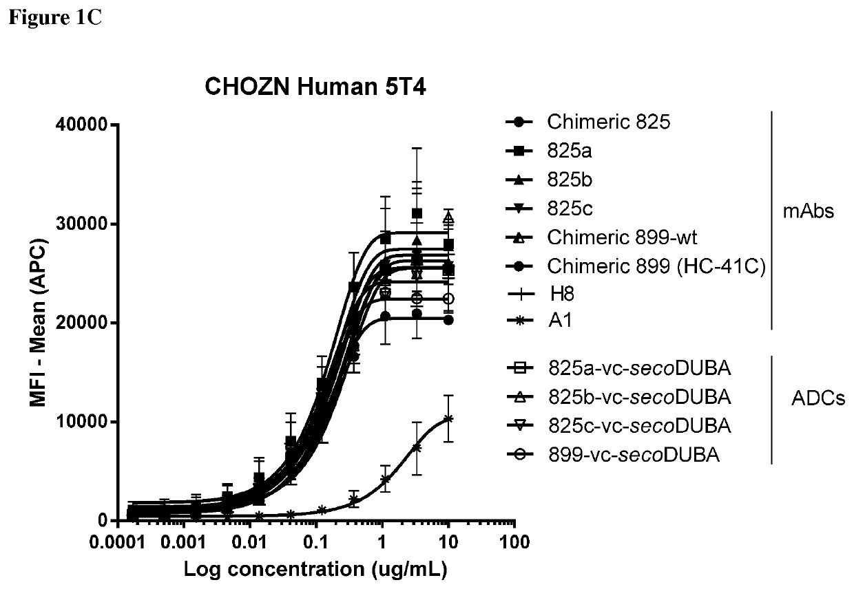 Anti-5T4 antibodies and antibody-drug conjugates