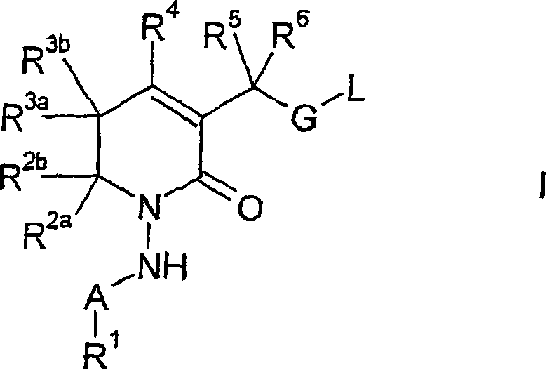 New 5,6-dihydropyrin-2-one compounds useful as inhibitors of thrombin