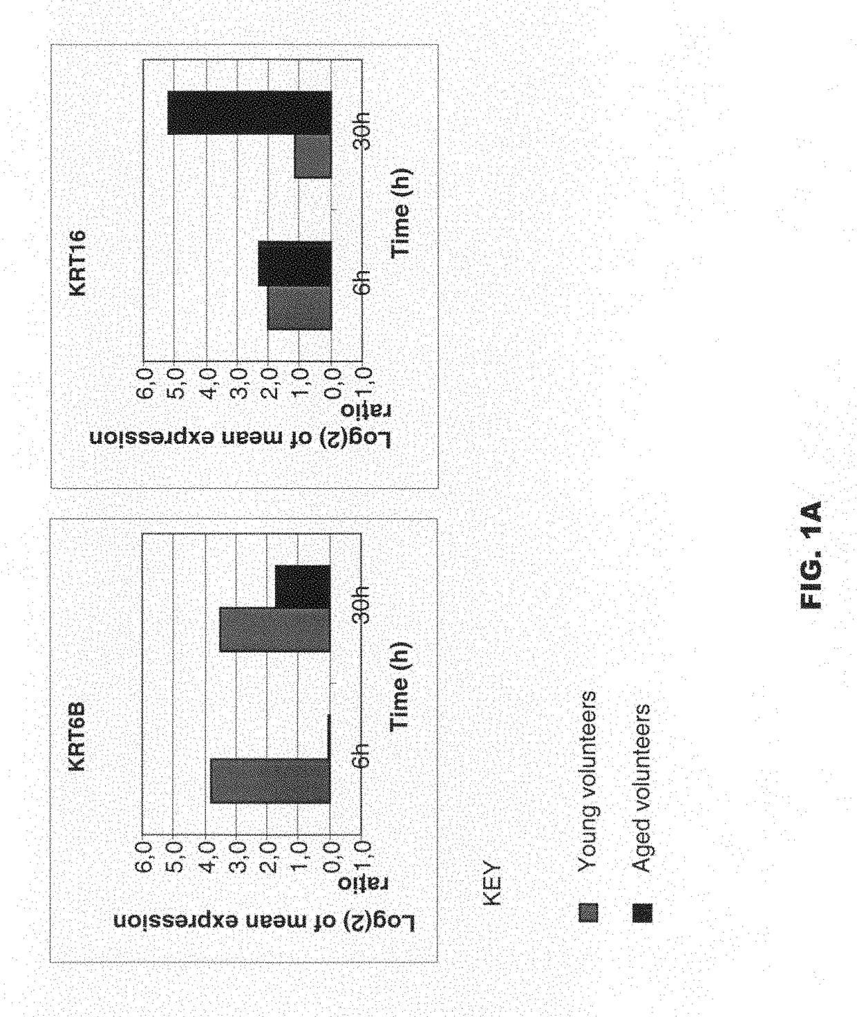 Molecular signature representative of dysfunctions in epidermal homeostasis