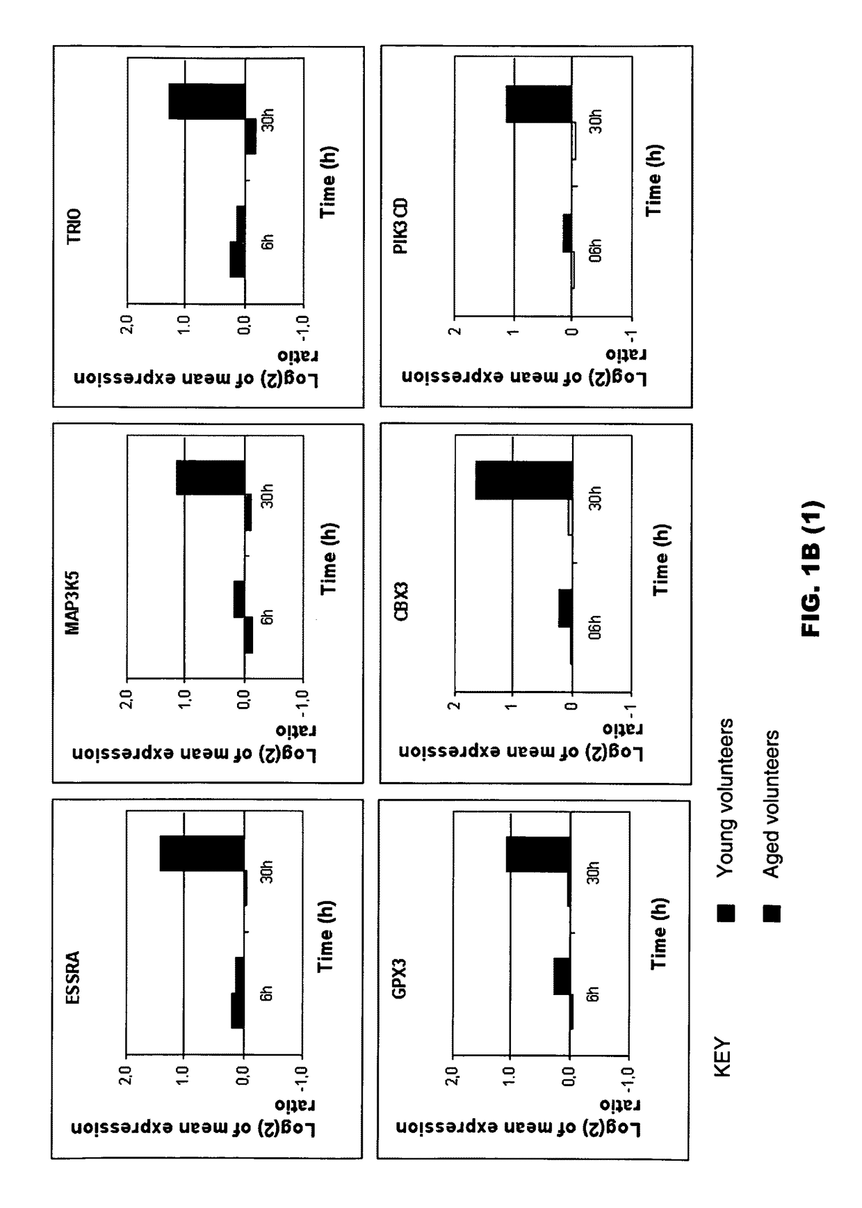 Molecular signature representative of dysfunctions in epidermal homeostasis