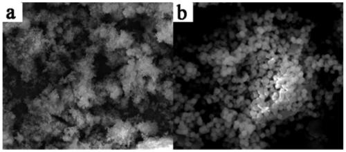 Quercetin surface imprinted polymer and application thereof