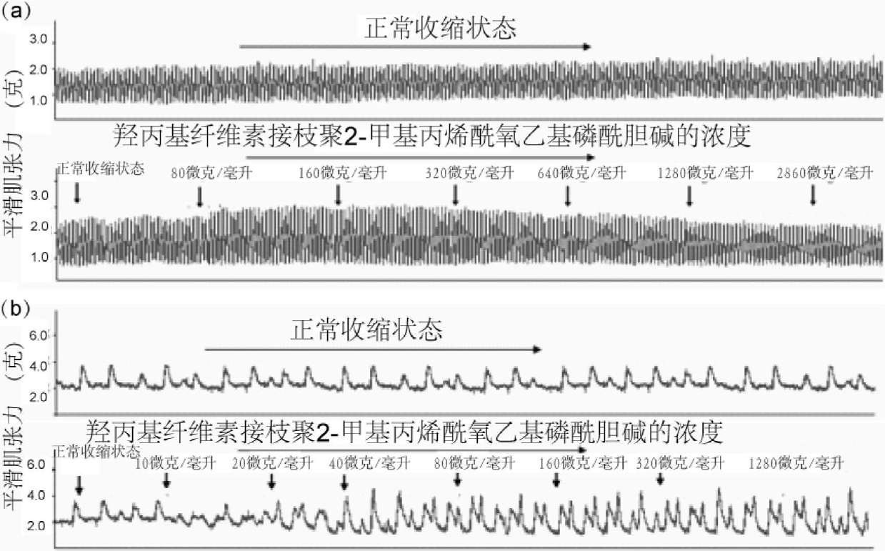 Amino-containing cellulose grafted copolymer capable of regulating gastrointestinal smooth muscle