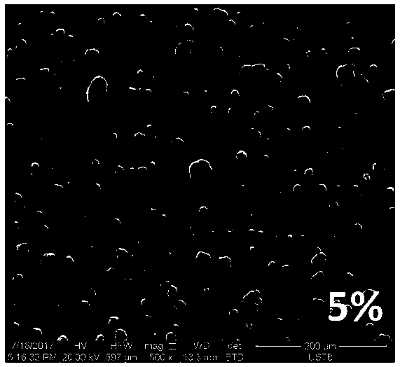 Super-hydrophobic surface coating and preparation method thereof