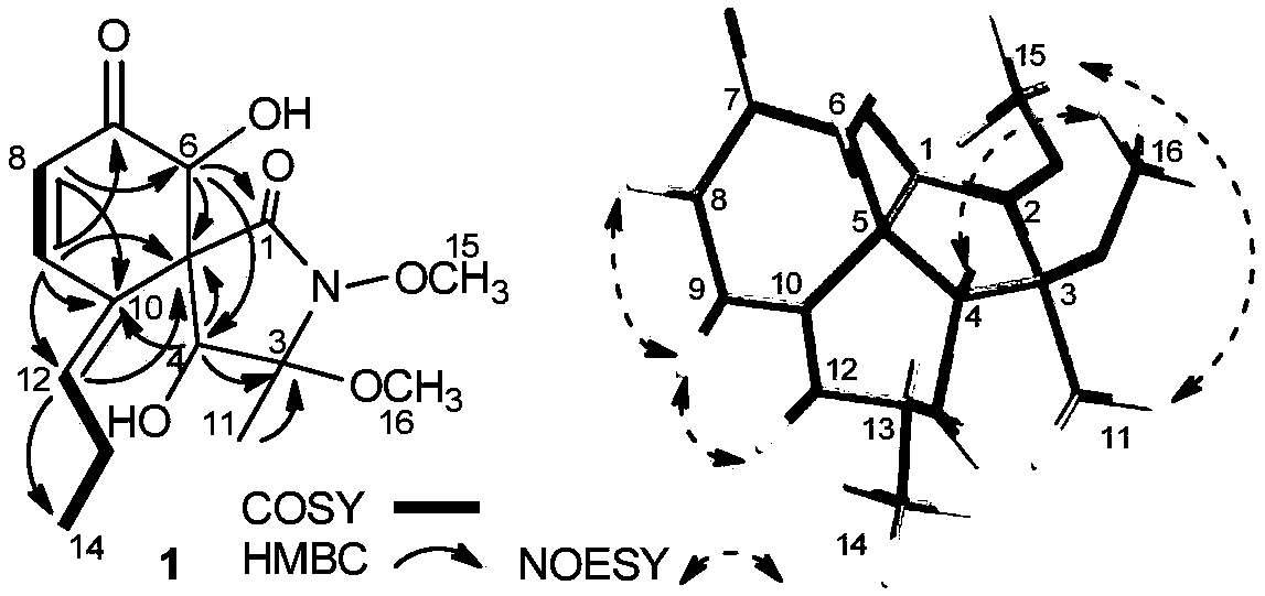 Spirocyclosporin X and application thereof to preparation of drug for treating influenza A