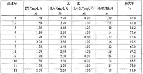 Rapid after-ripening and germination method of pulsatilla koreana seeds