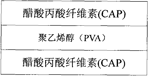 Polarized lens and method for manufacturing same