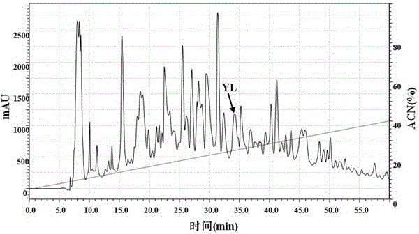 Antioxidant peptide in perilla seeds and application thereof