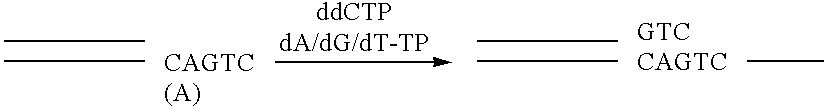 Apparatus and method for separating and purifying polynucleotides