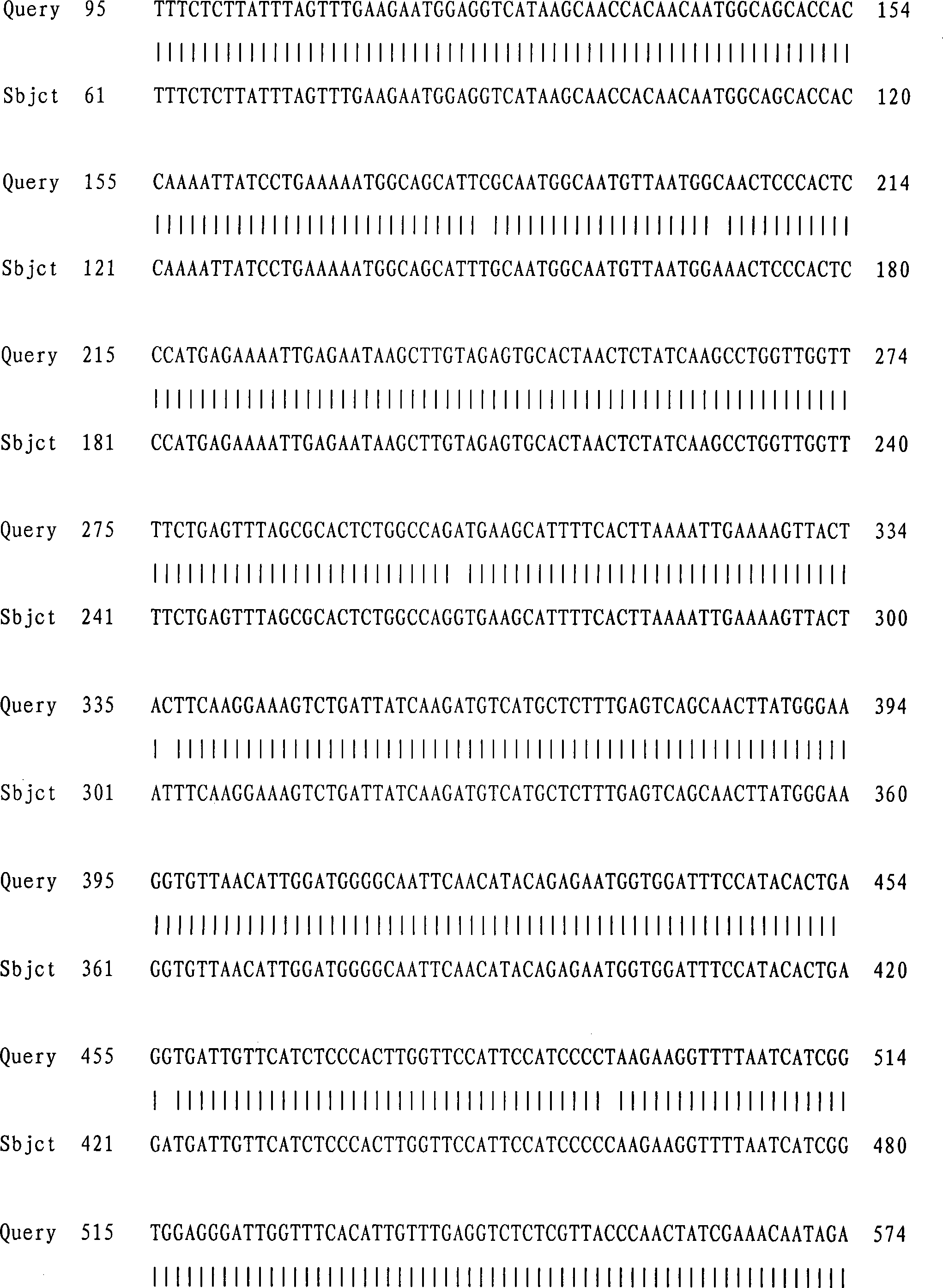 Scopoloa acutangula 1,4-tetramethylenediamine-nitrogen-methyltransferase 1 and its coding protein and application