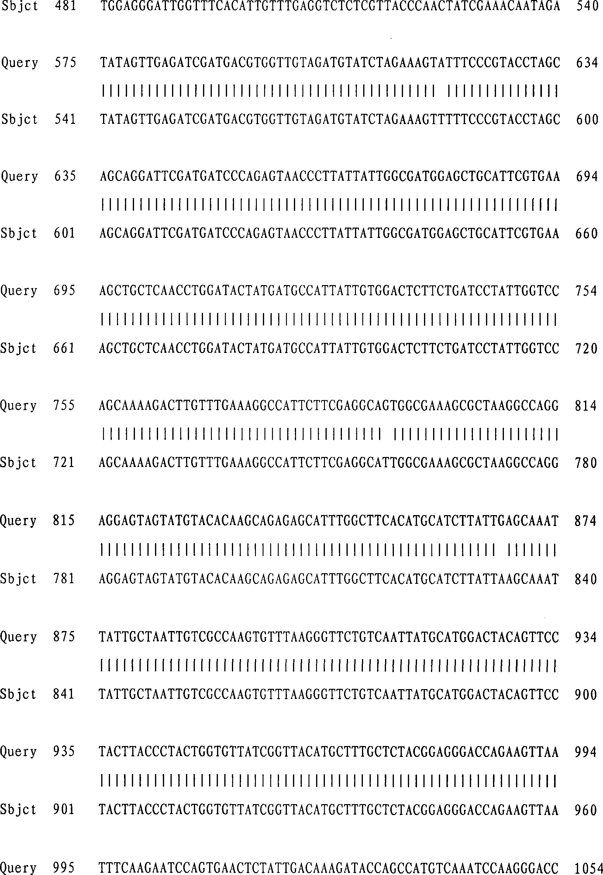 Scopoloa acutangula 1,4-tetramethylenediamine-nitrogen-methyltransferase 1 and its coding protein and application