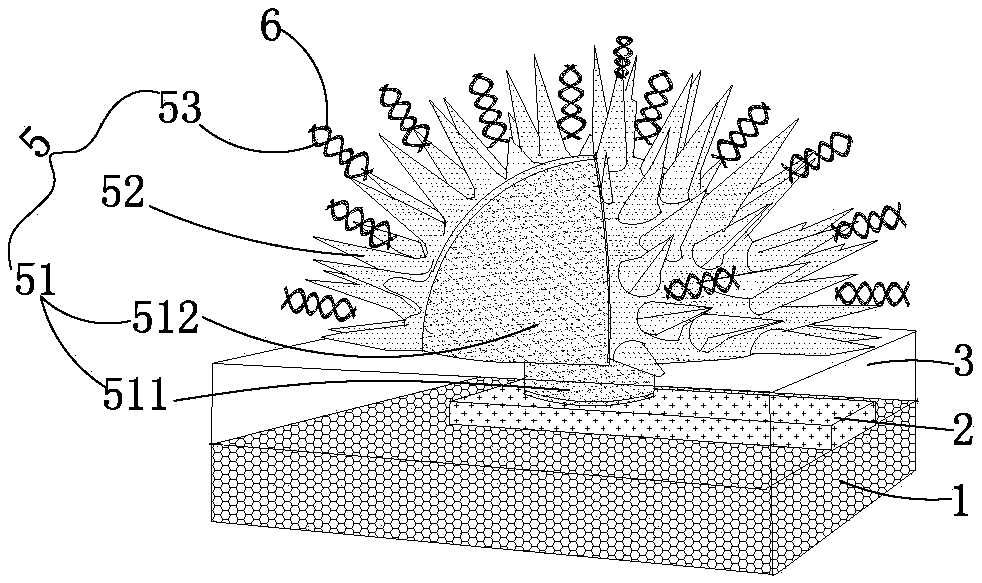 A blood test chip and its manufacturing method