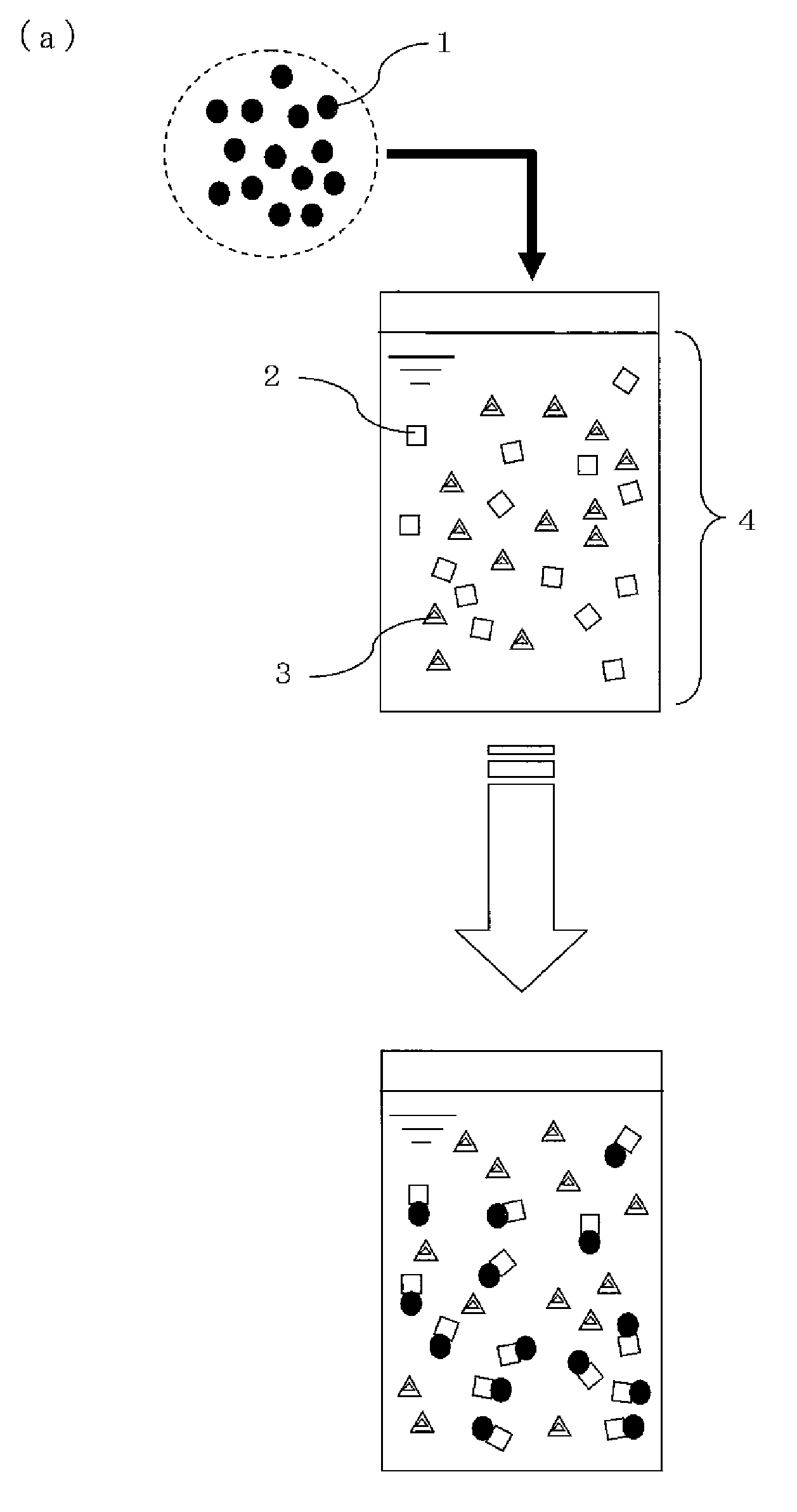 Functional particle, and method for separation of target substance using the same