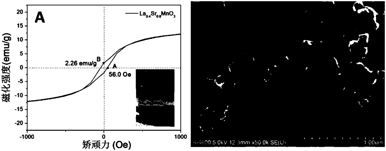 Magnetic separation type catalytic device for eliminating hydrogen peroxide and application thereof