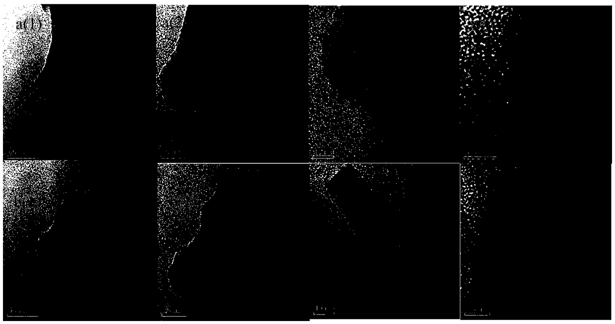 Synthesis method of small-crystal-grain FER (Ferrierite) molecular sieve with laminar stacking structure