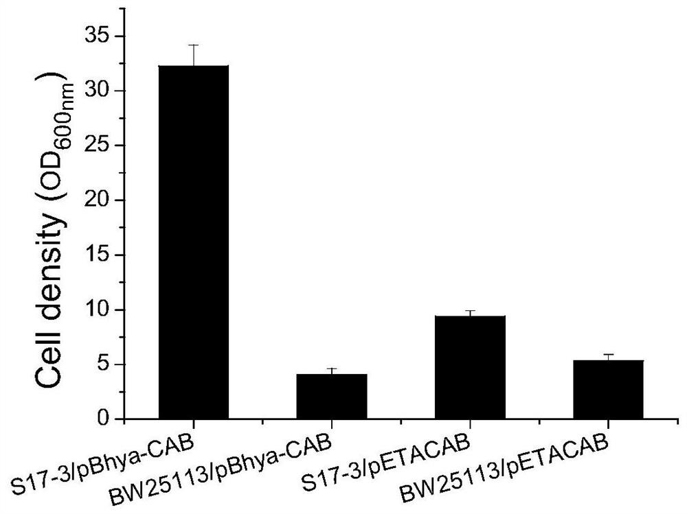 A kind of Escherichia coli with acid-resistant high-density growth and its application