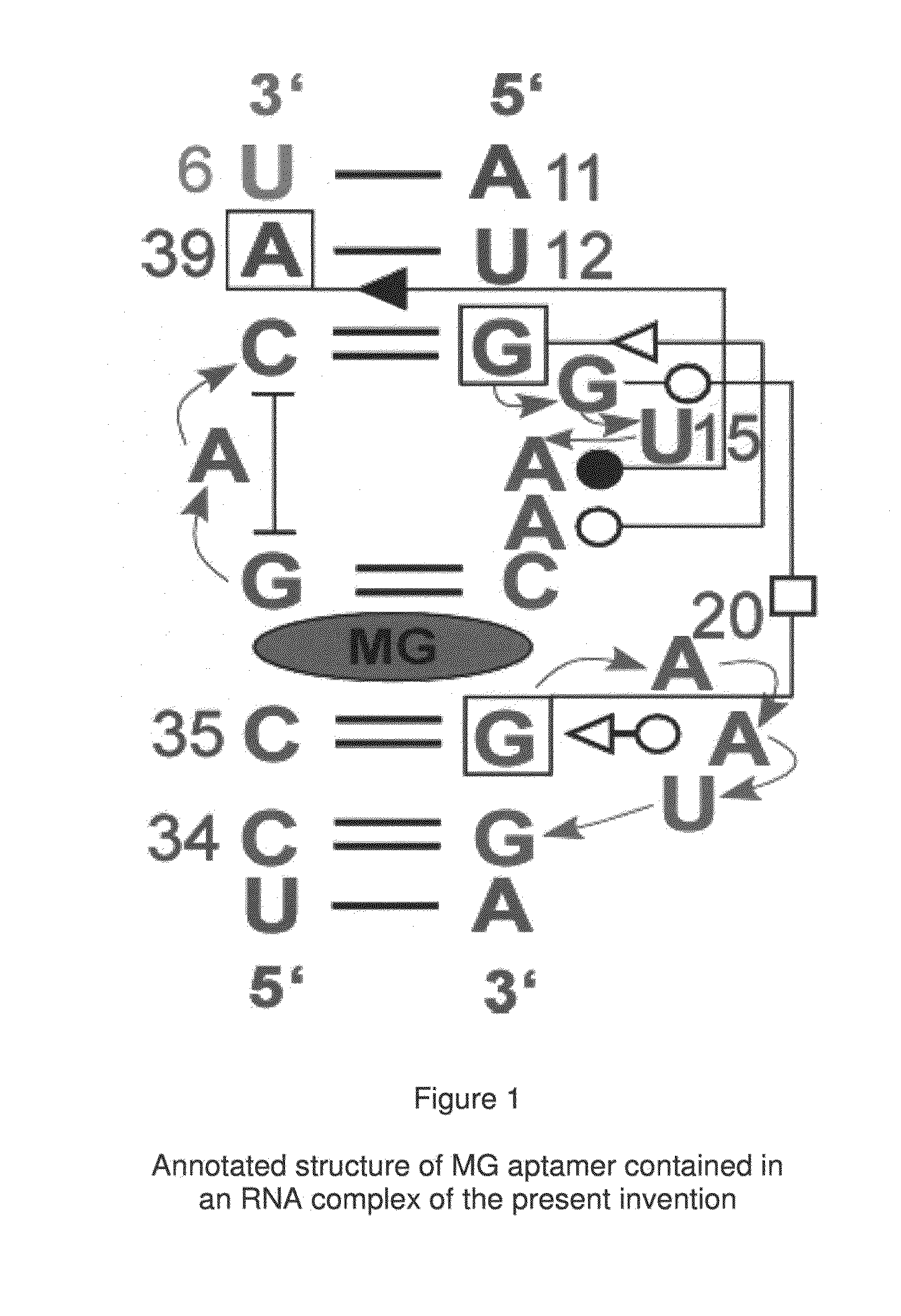 RNA complexes featuring paranemic binding, methods of their production and sensors and analytical methods involving same