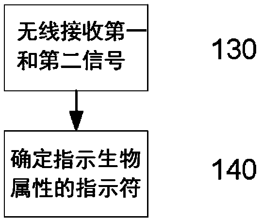 Animal monitoring device