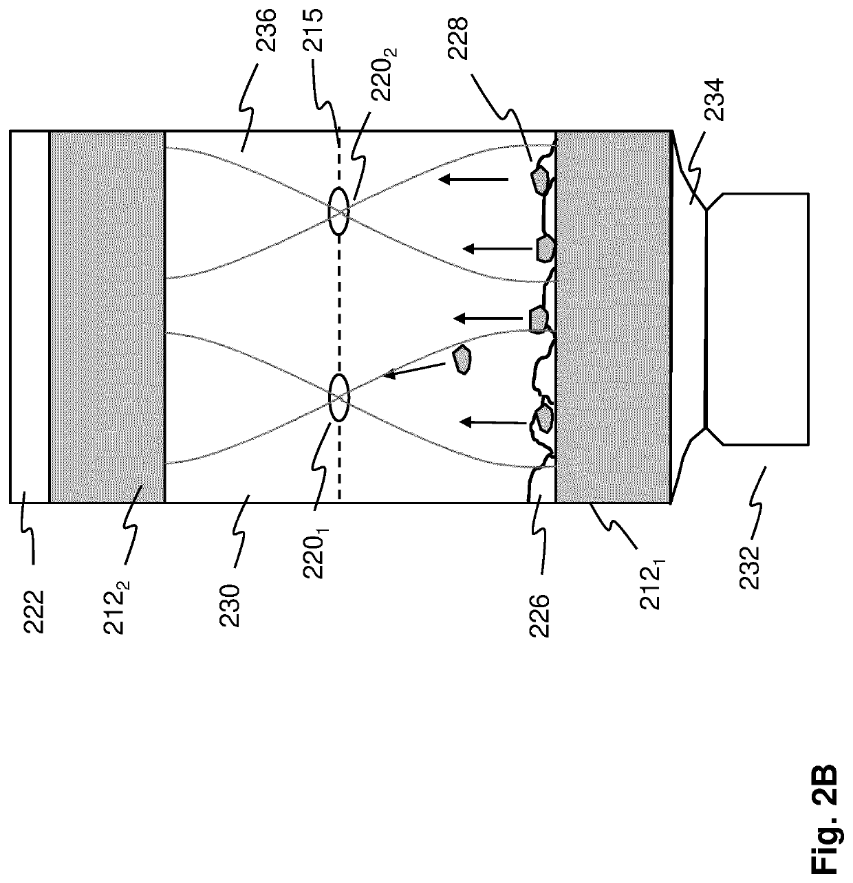 Determining interactions between cells based on force spectroscopy