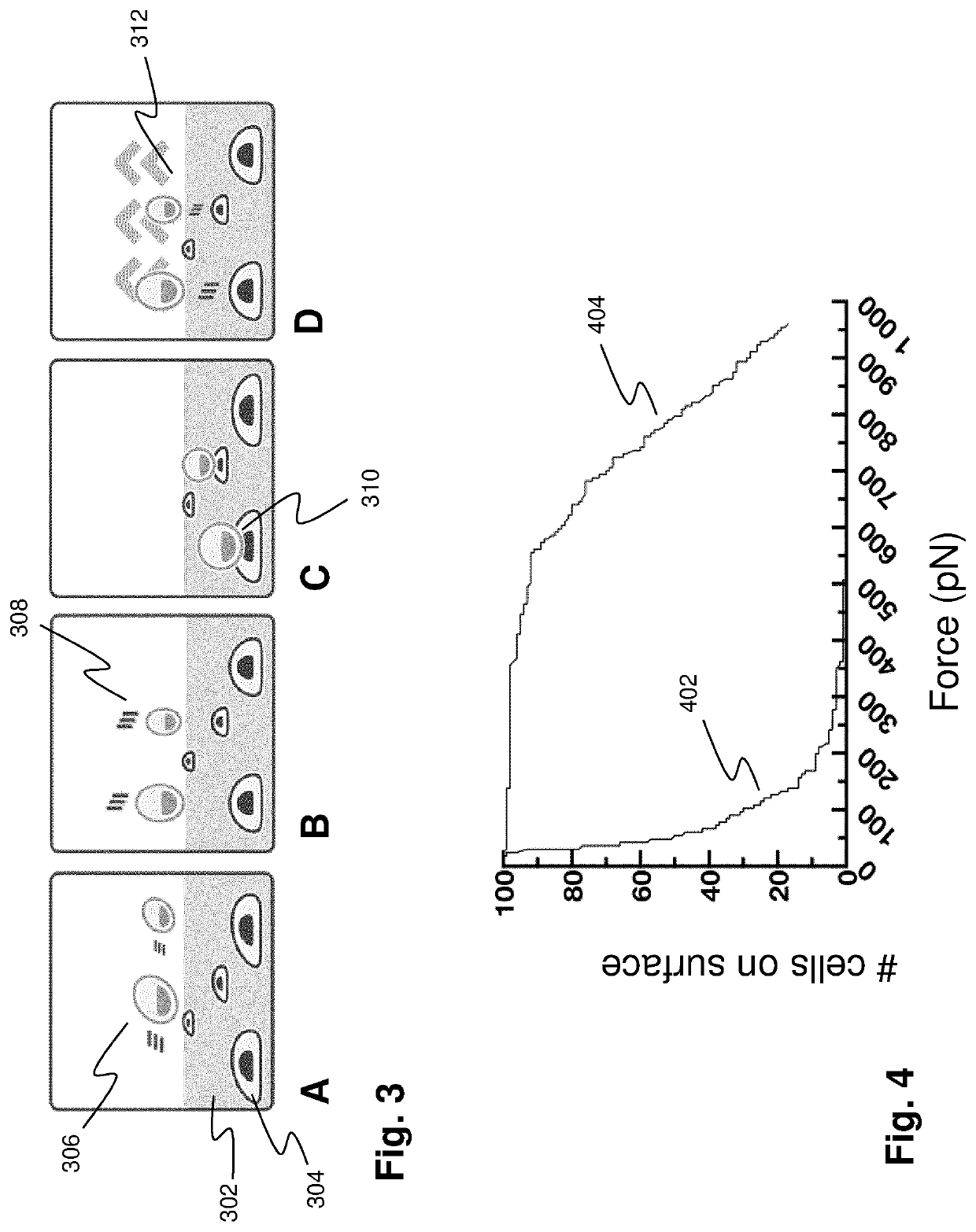 Determining interactions between cells based on force spectroscopy