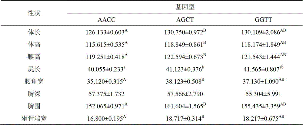 Method for detecting body sizes of Qinchuan cattle through using ANAPC13 gene