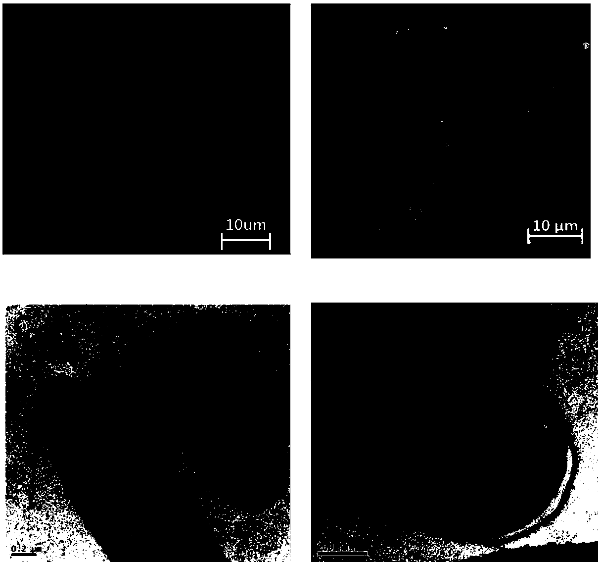 Active nano-particles for degrading organophosphorus, as well as preparation method and applications of active nano-particles