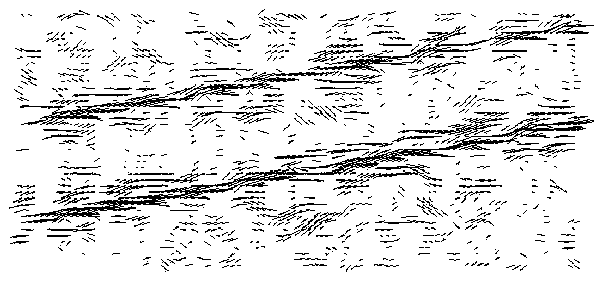 High voltage transmission line detection method based on linear targets