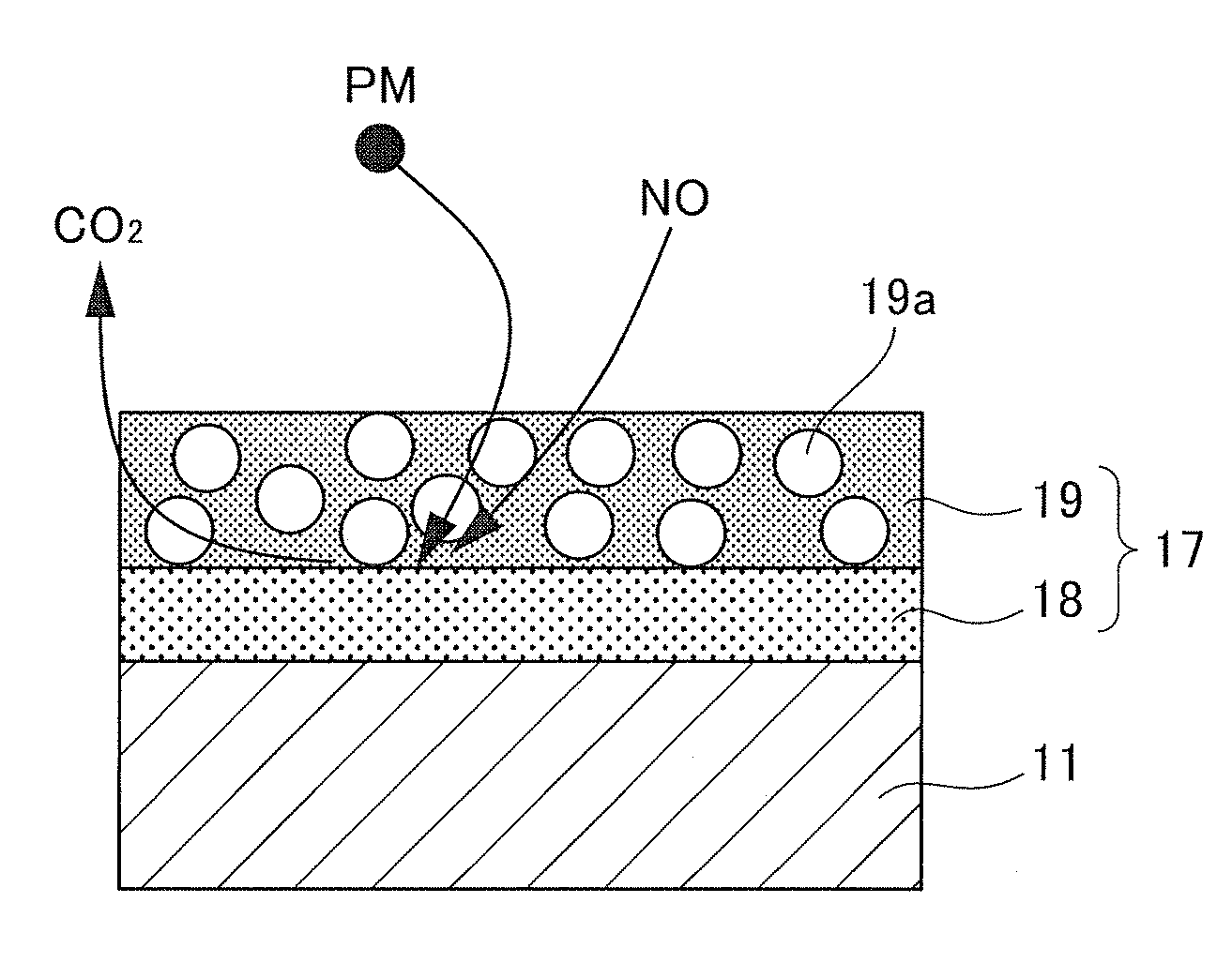 Exhaust gas purification catalyst and exhaust gas purification apparatus using the exhaust gas purification catalyst