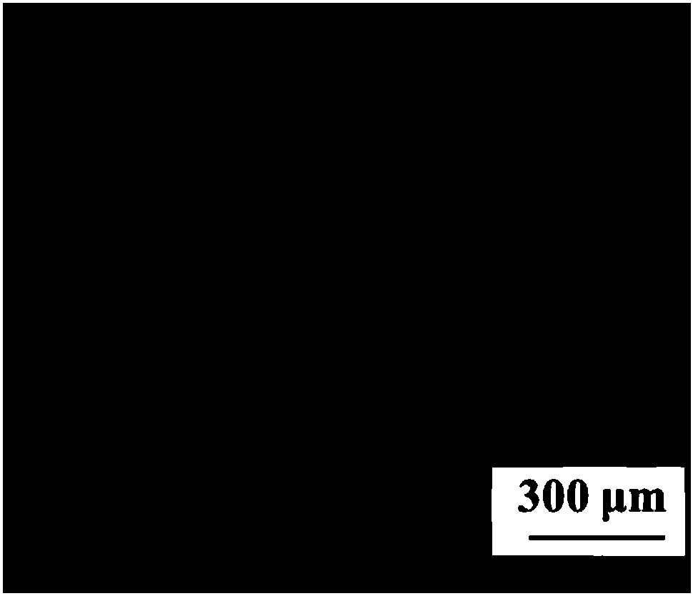 Activation method of high-capacity lithium ion battery negative electrode material