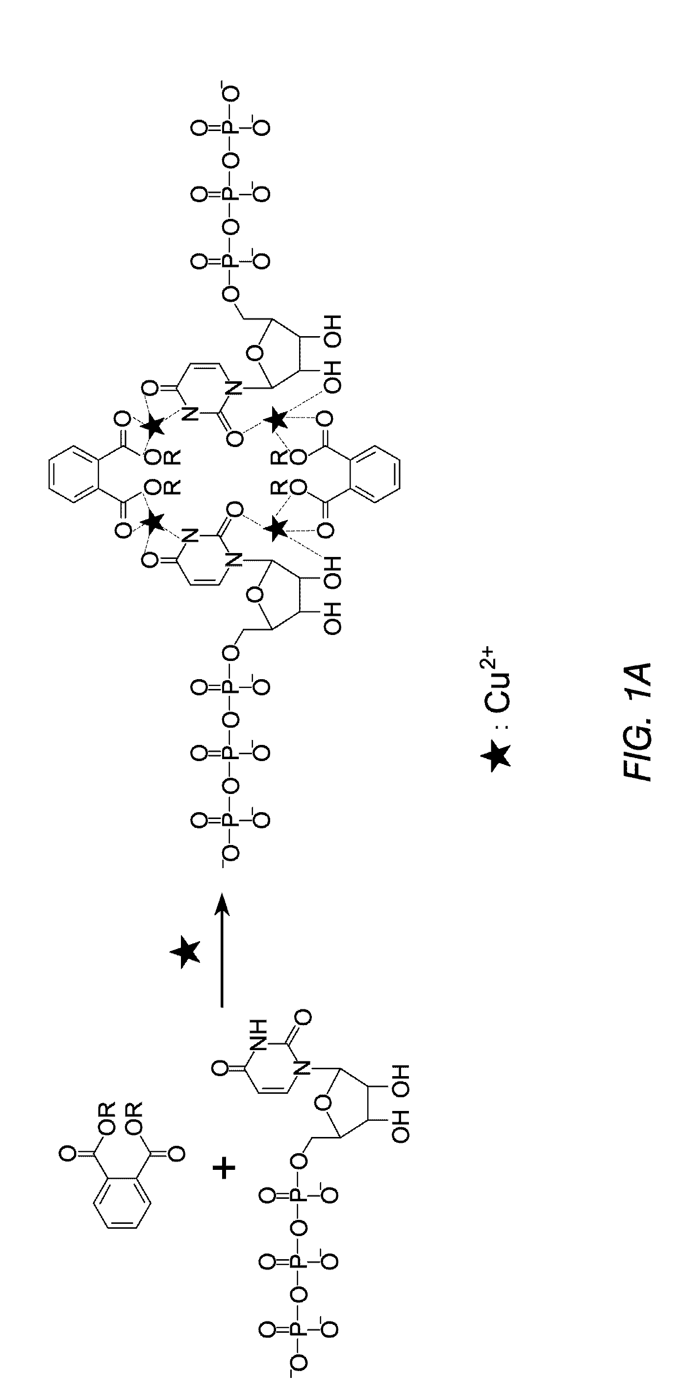 Methods for detecting plasticizers