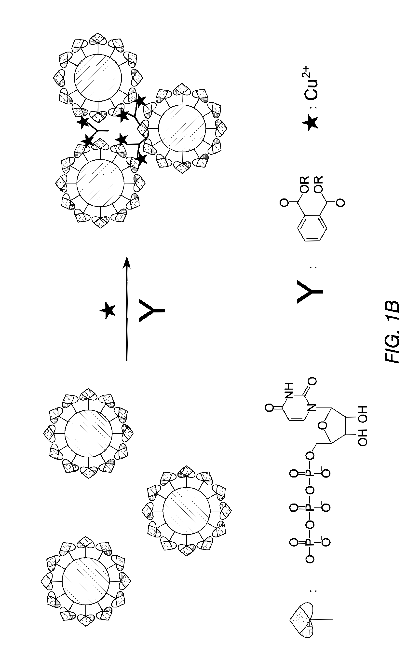 Methods for detecting plasticizers