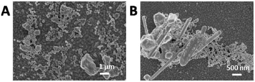 A kind of preparation method of nano silver polyhedron quasi-sphere