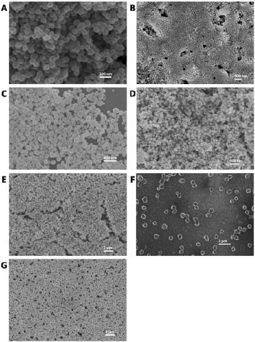 A kind of preparation method of nano silver polyhedron quasi-sphere