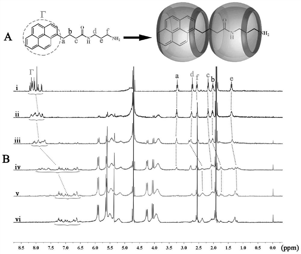 A fluorescent probe for detecting the pesticide dodine in water and its detection method