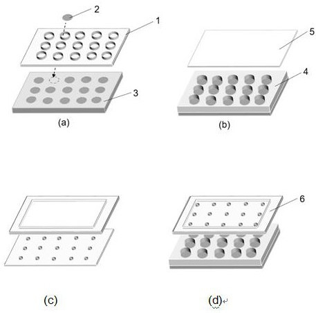 Based on bionic nano-microstructure chip, endotoxin poison sers quantitative detection system, method and application