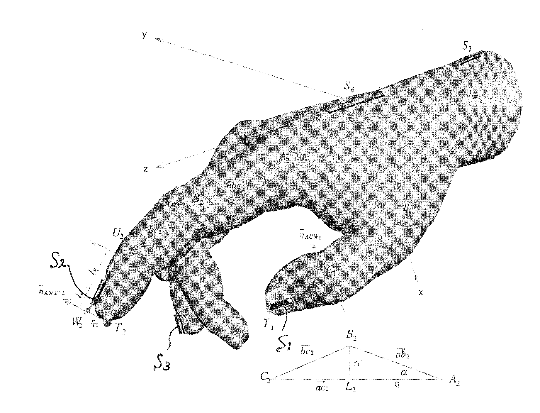 Modelling of hand and arm position and orientation