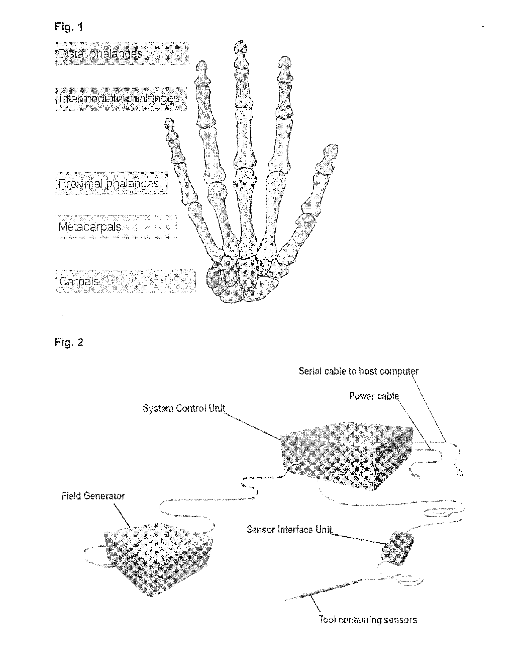 Modelling of hand and arm position and orientation