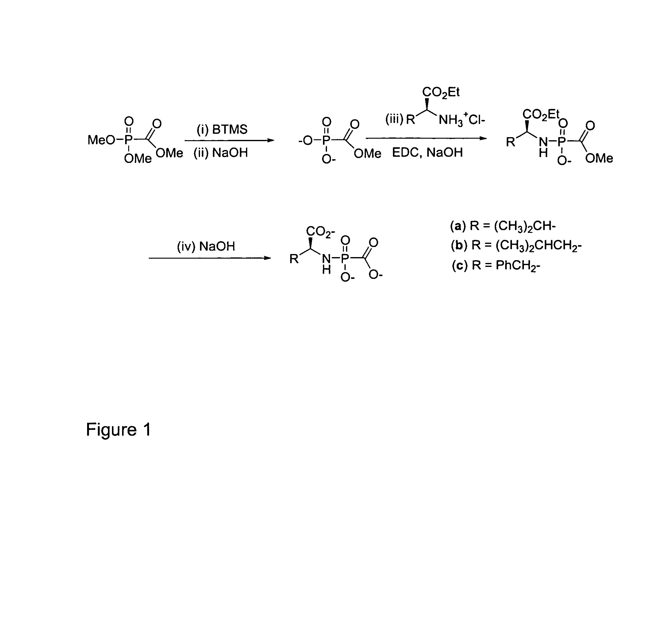 Cidofovir peptide conjugates as prodrugs