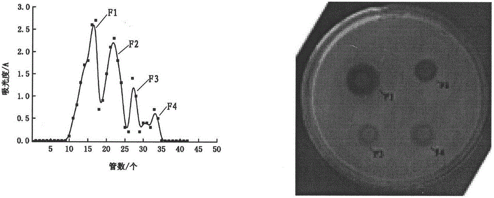 A kind of preparation method of ferrous chelating antimicrobial peptide