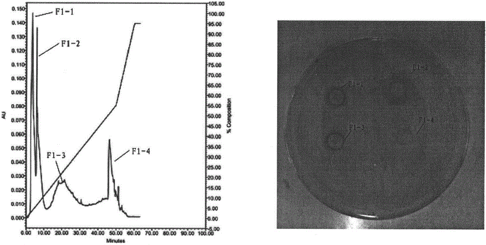 A kind of preparation method of ferrous chelating antimicrobial peptide