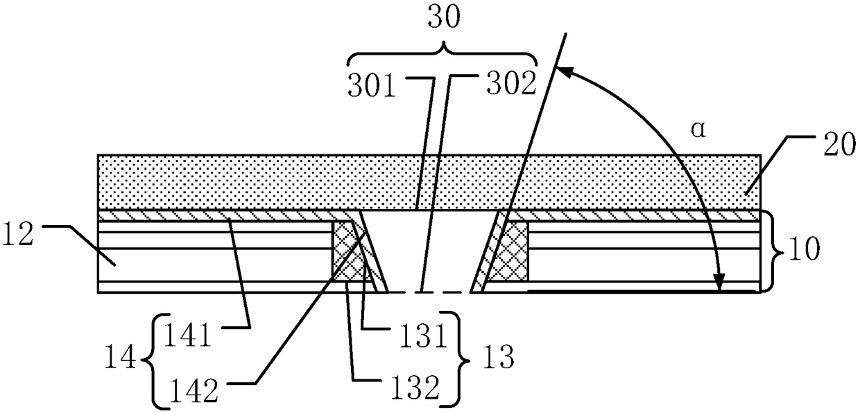 Display module and display device