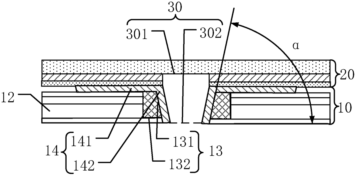 Display module and display device