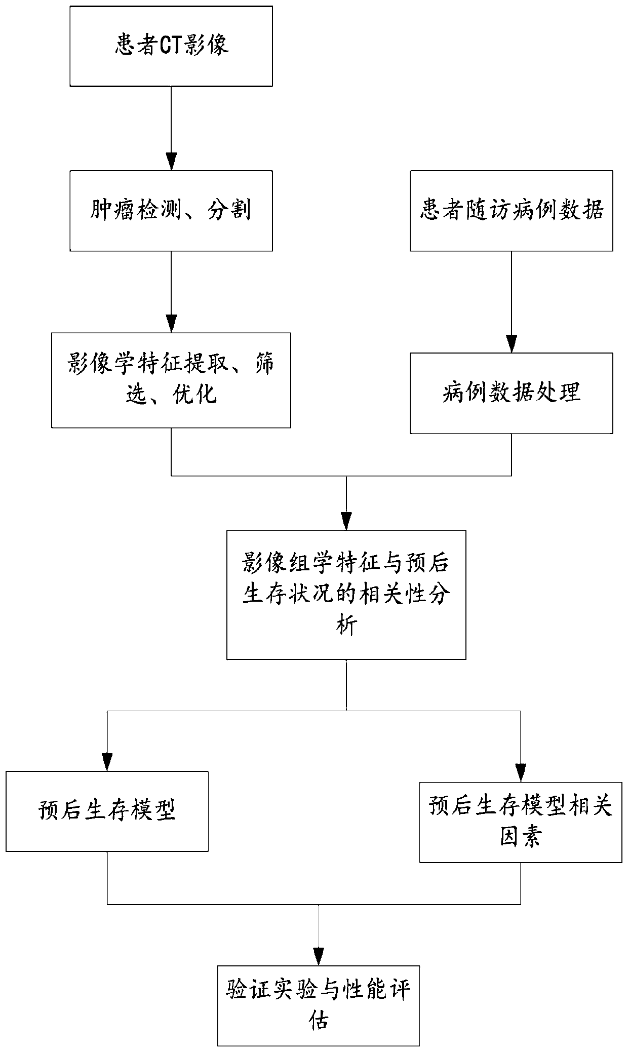 Analytical method for prognosis survival case of non-small cell lung cancer