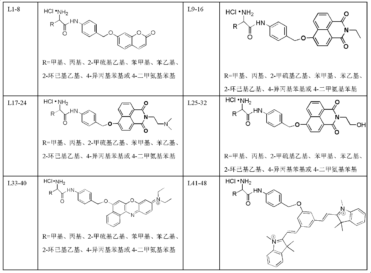 Amino acid-fluorophore compound and application thereof