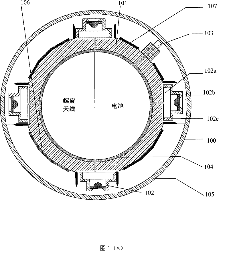 Full view acquisition system in biological cavity