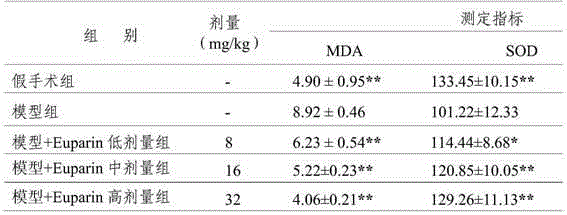 Application of Euparin in preparing medicine for treating ischemic cardiovascular and cerebrovascular diseases