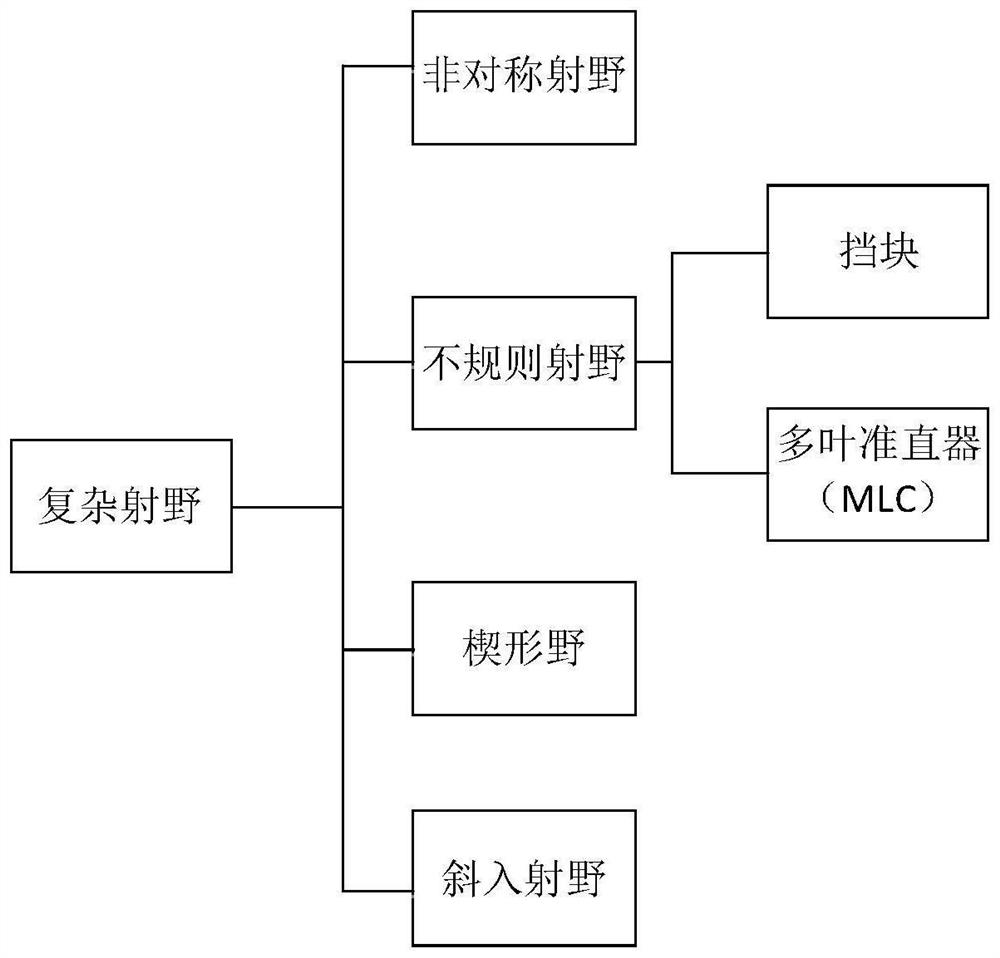 A fast calculation device and storage medium for radiotherapy dose of complex radiation field