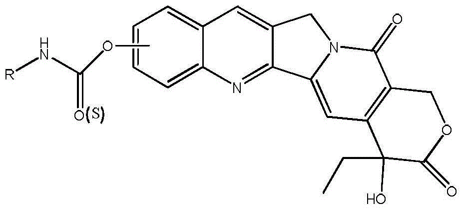 Camptothecin derivative and preparation method thereof