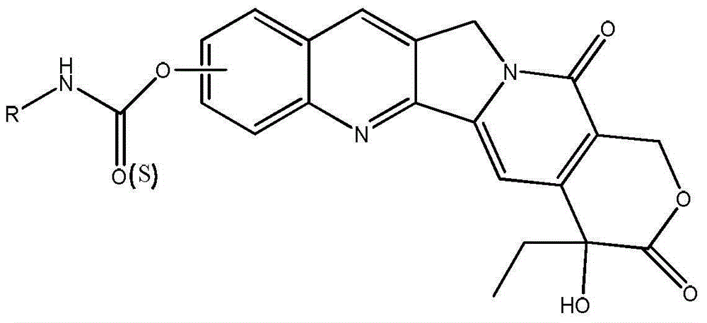 Camptothecin derivative and preparation method thereof