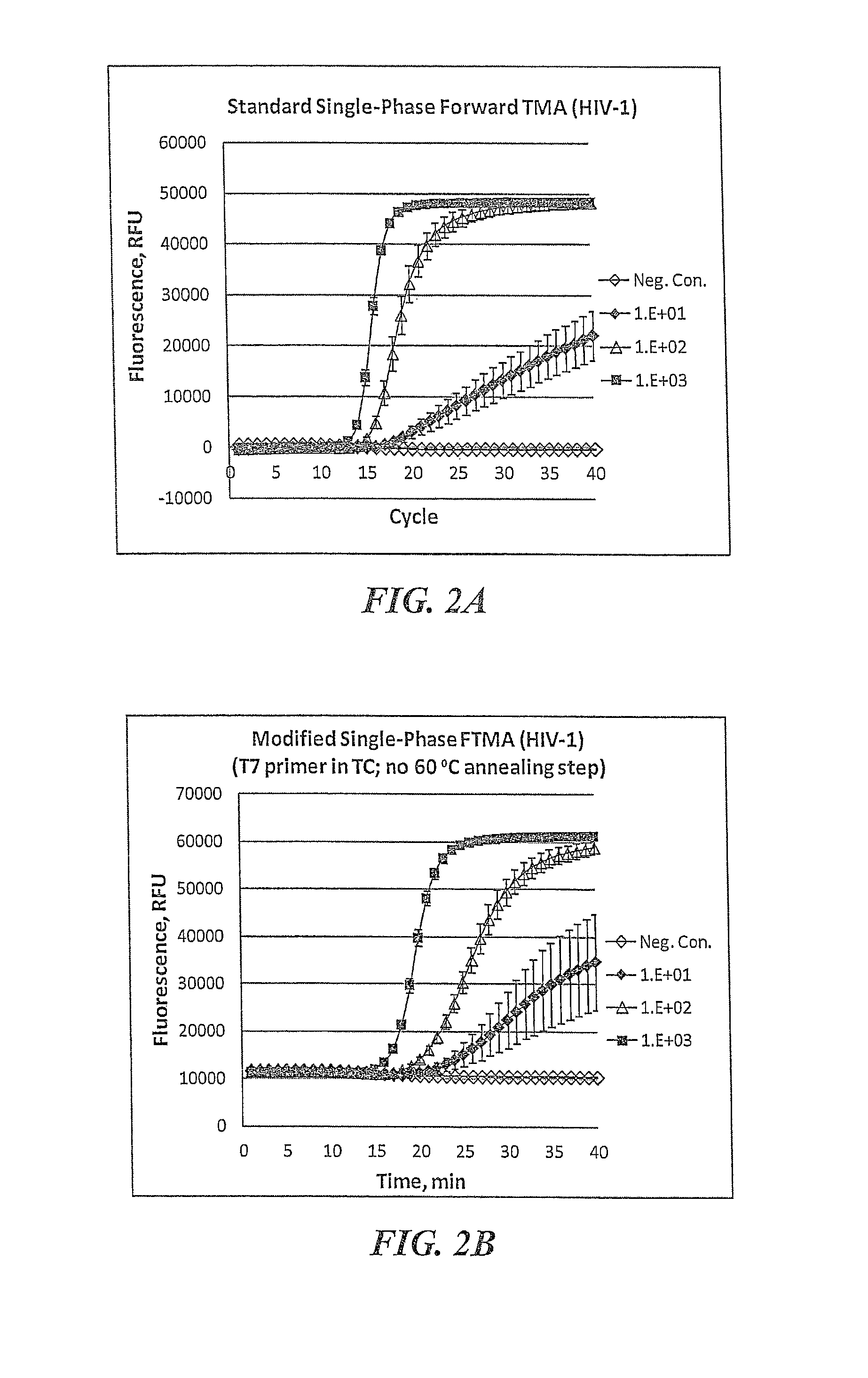 Multiphase nucleic acid amplification