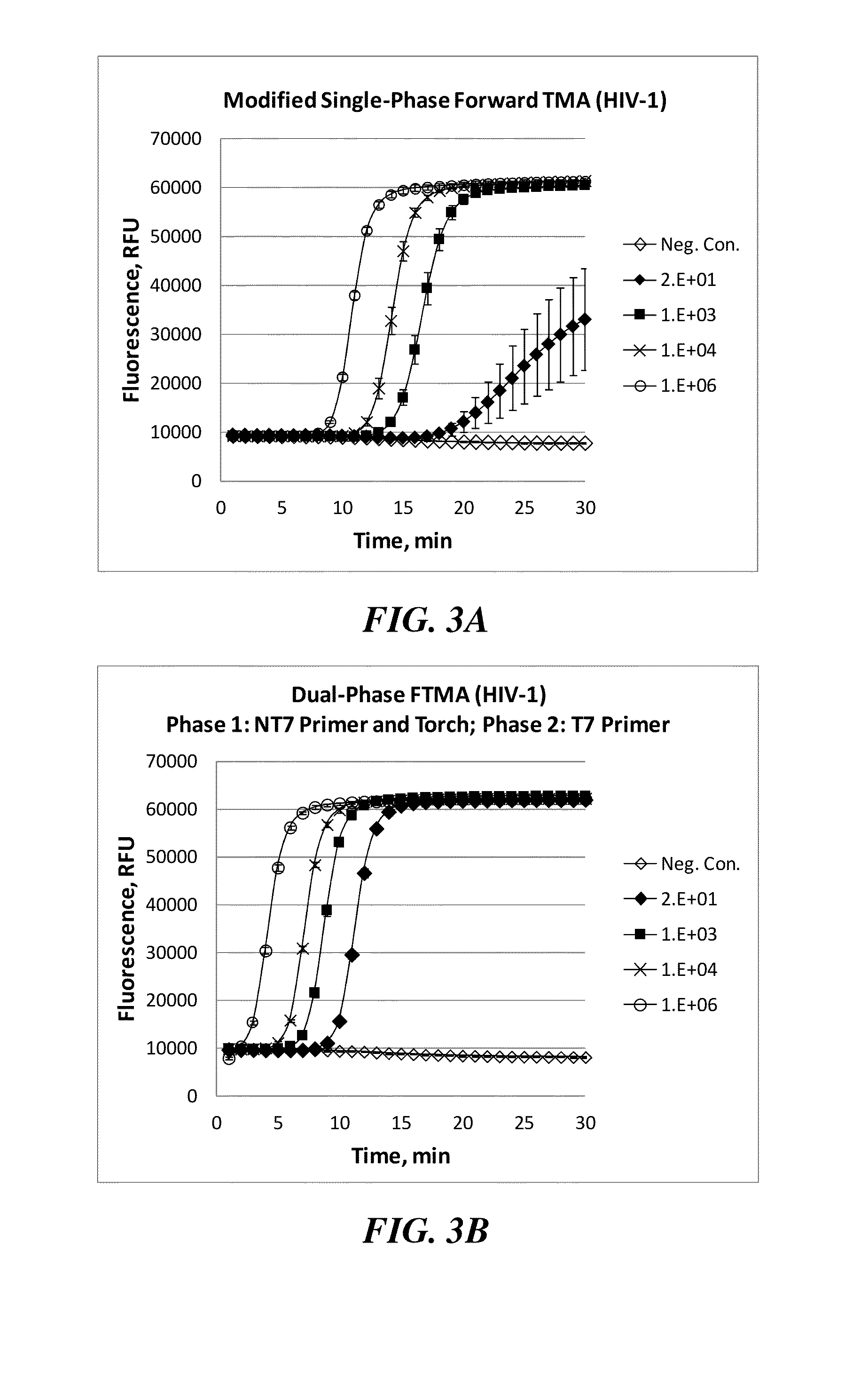 Multiphase nucleic acid amplification